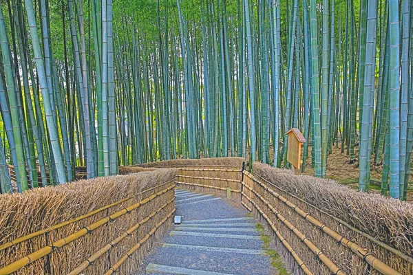 Бамбуковая Роща Адасино Буцу Дзи Арашияма Киото Япония — стоковое фото