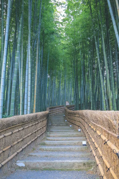 Bambushain Adashino Nenbutsu Arashiyama Kyoto Japan — Stockfoto