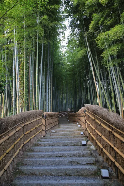 Bamboo Grove Adashino Nenbutsu Arashiyama Kyoto Japon — Photo