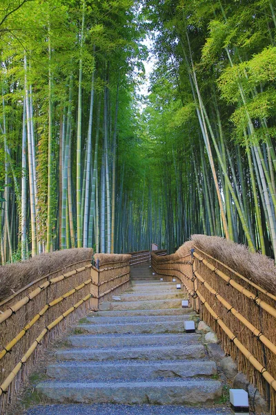 Bamboo Grove Adashino Nenbutsu Arashiyama Kyoto Ιαπωνία — Φωτογραφία Αρχείου