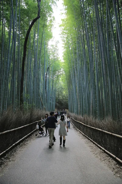 Bamboo Forest Arashiyama Στο Kyoto Της Ιαπωνίας Nov 2013 — Φωτογραφία Αρχείου