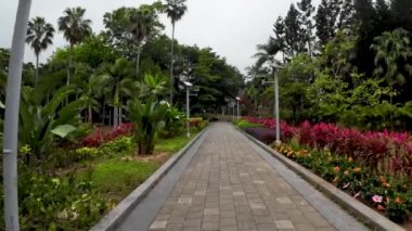 Victoria Park manzarası, Causeway Körfezi, 8 Mart 2023