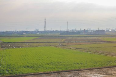 31 Ekim 2013 Toyama kırsalının sonbahar manzarası, Japonya