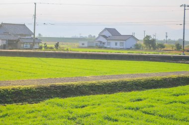 31 Ekim 2013 Toyama kırsalının sonbahar manzarası, Japonya