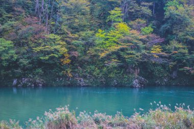 31 Ekim 2013 Toyama kırsalının sonbahar manzarası, Japonya