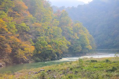 31 Ekim 2013 Toyama kırsalının sonbahar manzarası, Japonya