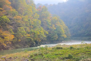 31 Ekim 2013 Toyama kırsalının sonbahar manzarası, Japonya