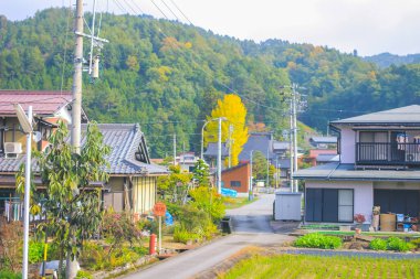 31 Ekim 2013 Toyama kırsalının sonbahar manzarası, Japonya