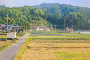 31 Ekim 2013 Toyama kırsalının sonbahar manzarası, Japonya