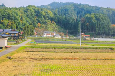 31 Ekim 2013 Toyama kırsalının sonbahar manzarası, Japonya