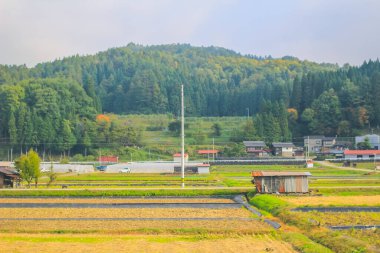 31 Ekim 2013 Toyama kırsalının sonbahar manzarası, Japonya