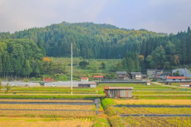 31 Ekim 2013 Toyama kırsalının sonbahar manzarası, Japonya