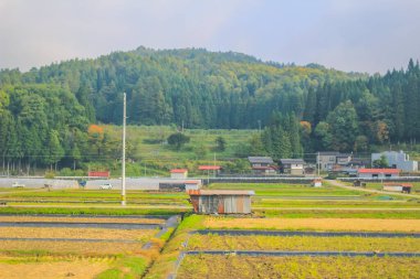 31 Ekim 2013 Toyama kırsalının sonbahar manzarası, Japonya