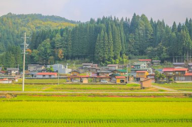 31 Ekim 2013 Toyama kırsalının sonbahar manzarası, Japonya