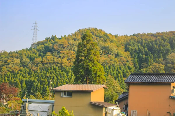 Ekim 2013 Toyama Kırsalının Sonbahar Manzarası Japonya — Stok fotoğraf