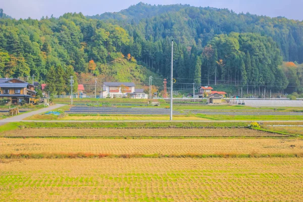 Oktober 2013 Pemandangan Musim Gugur Pedesaan Toyama Jepang — Stok Foto
