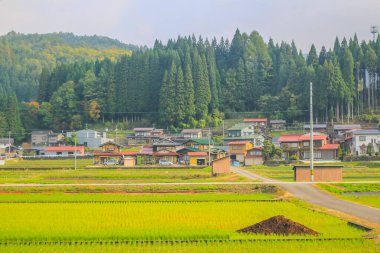 31 Ekim 2013 Toyama kırsalının sonbahar manzarası, Japonya