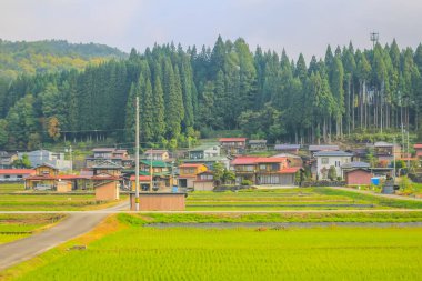 31 Ekim 2013 Toyama kırsalının sonbahar manzarası, Japonya
