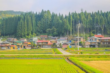 31 Ekim 2013 Toyama kırsalının sonbahar manzarası, Japonya