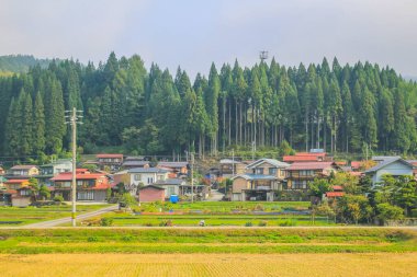 31 Ekim 2013 Toyama kırsalının sonbahar manzarası, Japonya