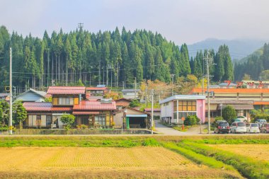 31 Ekim 2013 Toyama kırsalının sonbahar manzarası, Japonya