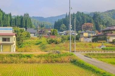 31 Ekim 2013 Toyama kırsalının sonbahar manzarası, Japonya