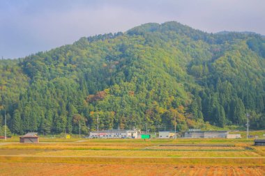 31 Ekim 2013 Toyama kırsalının sonbahar manzarası, Japonya