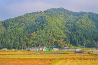 31 Ekim 2013 Toyama kırsalının sonbahar manzarası, Japonya