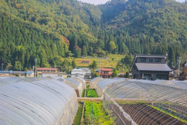 31 Ekim 2013 Toyama kırsalının sonbahar manzarası, Japonya
