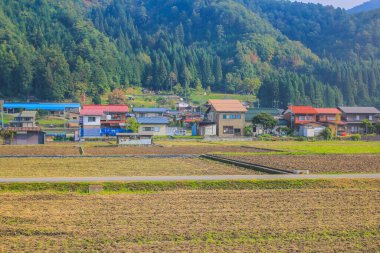 31 Ekim 2013 Toyama kırsalının sonbahar manzarası, Japonya