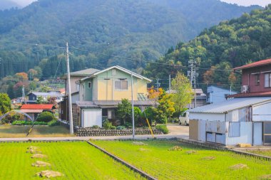 31 Ekim 2013 Toyama kırsalının sonbahar manzarası, Japonya