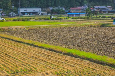 31 Ekim 2013 Toyama kırsalının sonbahar manzarası, Japonya