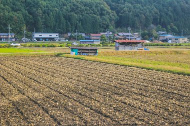 31 Ekim 2013 Toyama kırsalının sonbahar manzarası, Japonya