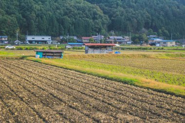 31 Ekim 2013 Toyama kırsalının sonbahar manzarası, Japonya