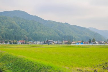 31 Ekim 2013 Toyama kırsalının sonbahar manzarası, Japonya