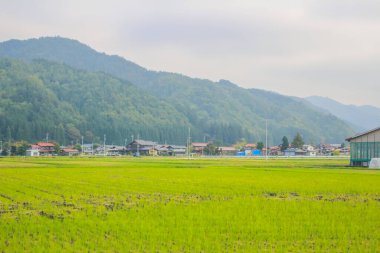 31 Ekim 2013 Toyama kırsalının sonbahar manzarası, Japonya