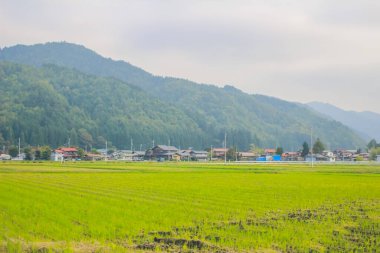 31 Ekim 2013 Toyama kırsalının sonbahar manzarası, Japonya