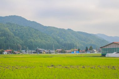 31 Ekim 2013 Toyama kırsalının sonbahar manzarası, Japonya