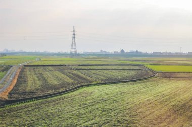 31 Ekim 2013 Toyama kırsalının sonbahar manzarası, Japonya