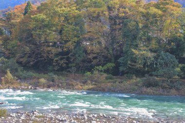 Sho nehri, Shirakawa köyünün ana nehri yazın. 1 Kasım 2013