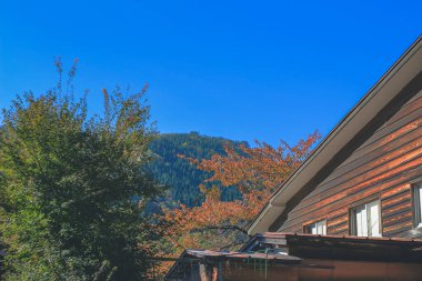 Shirakawa-go köyünün geleneksel binaları, Japonya 1 Kasım 2013