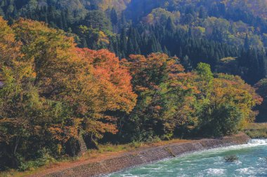 Sho nehri, Shirakawa köyünün ana nehri yazın. 1 Kasım 2013