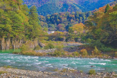 Sho nehri, Shirakawa köyünün ana nehri yazın. 1 Kasım 2013