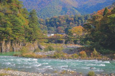 Sho nehri, Shirakawa köyünün ana nehri yazın. 1 Kasım 2013
