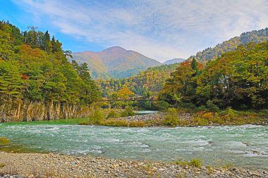 Sho nehri, Shirakawa köyünün ana nehri yazın. 1 Kasım 2013