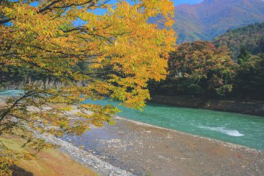 Sho nehri, Shirakawa köyünün ana nehri yazın. 1 Kasım 2013