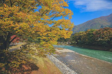 Sho nehri, Shirakawa köyünün ana nehri yazın. 1 Kasım 2013