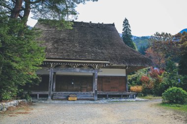 Shirakawa 'daki Myozenji Tapınağı 1 Kasım 2013