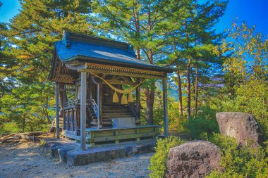 Shirakawa 'da sonbahar mevsiminde ağaç gider, Japonya 1 Kasım 2013
