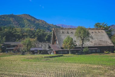 Tarihi Japon Köyü Shirakawago, Japonya 'nın tarihi simgesi 1 Kasım 2013